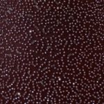 Embellished Maxi Dress in Red/Brown Ombr?? - Image 5