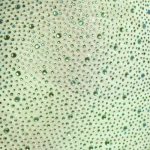 Embellished Bodycon Mini Dress in Pistachio - Image 4