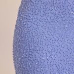 Embellished Mid-Rise Maxi Skirt in Powder Blue - Image 4