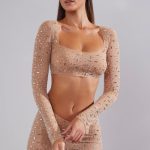 Sheer Embellished Long Sleeve Crop Top in Almond