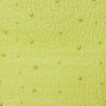 Halter Neck Cut Out Mini Dress in Lime - Image 5
