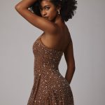 Sheer Embellished Scoop Neck Mini Dress in Mocha - Image 3