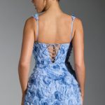 Floral-Appliqu?? Corset Mini Dress in Blue - Image 2