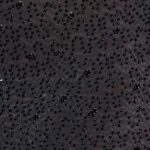 Embellished Plunge Neck Evening Gown in Black - Image 10