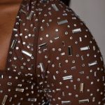 Sheer Embellished Long Sleeve Crop Top in Deep Cocoa - Image 5