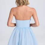 Halterneck Floral-Appliqu?? Corset Mini Dress in Powder Blue - Image 2