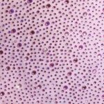 Embellished Mid-Rise Micro Mini Skirt in Peony Pink - Image 4