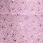 Embellished Corset Mini Dress in Peony Pink - Image 4